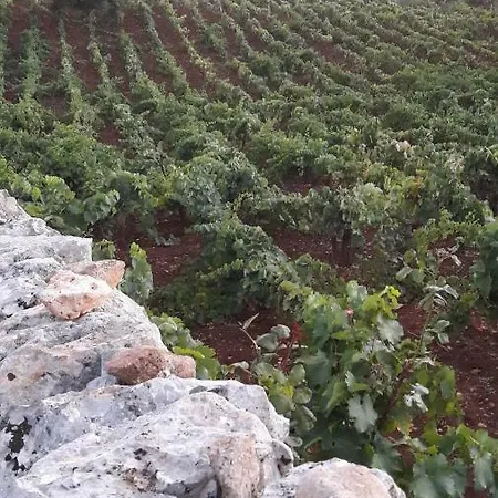 Σπίτι διακοπών Casa Mario Cisternino