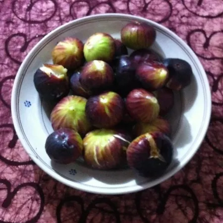 Casa Mario 펜션 치스테르니노