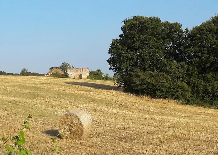 Casa Mario Casa de Férias