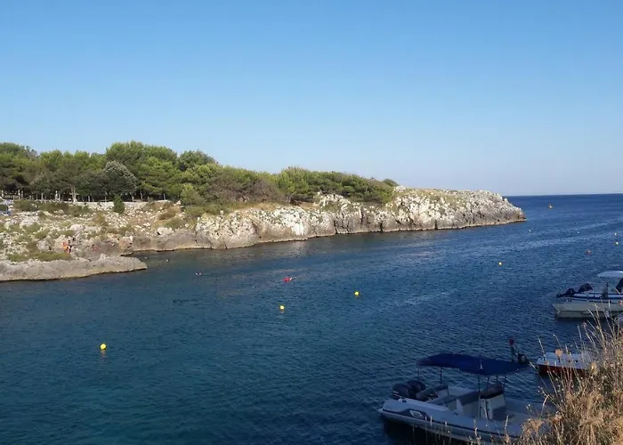 Casa de Férias Casa Mario *